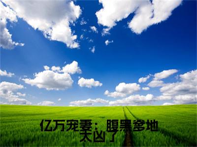 白清欢林靖之小说完本+外篇（亿万宠妻：腹黑爹地太凶了）畅享阅读