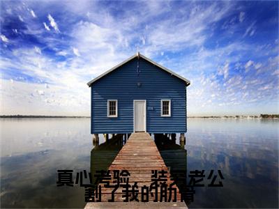虞清秦风（真心考验，装穷老公割了我的肋骨）后续+番外精编之作_虞清秦风（真心考验，装穷老公割了我的肋骨）免费在线阅读无删减_笔趣阁