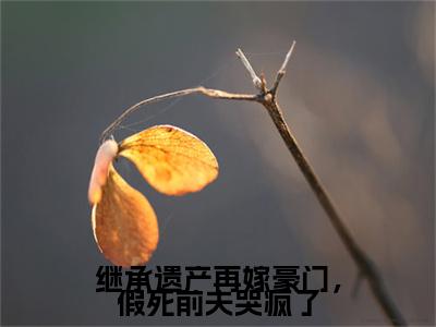 温旎周京屹：结局+番外精品选集（继承遗产再嫁豪门，假死前夫哭疯了）番外+续集
