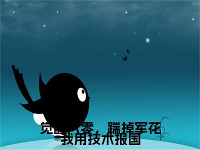 觉醒八零，踹掉军花我用技术报国林冬声续集（林冬声）章节在线阅读最近章节