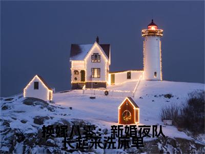 换嫁八零：新婚夜队长起来洗床单小说(桑榆宋振华)序章+全章阅读（换嫁八零：新婚夜队长起来洗床单）最新章节