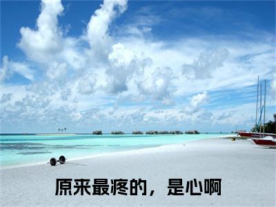 终章小说原来最疼的，是心啊江雾眠傅西凛小说(原来最疼的，是心啊)已更新+番外篇章（江雾眠傅西凛）无广告