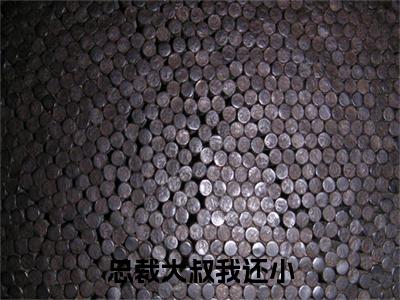 （头条）苏小猫小说(总裁大叔我还小)整本免费版阅读无广告（苏小猫）