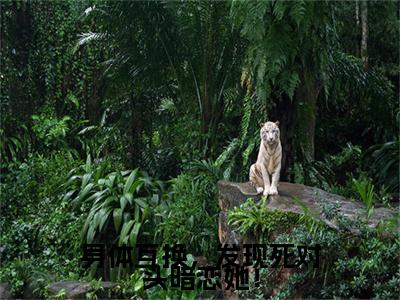 终章小说身体互换，发现死对头暗恋她！(虞晚棠傅时遇)：结局+番外评价五颗星