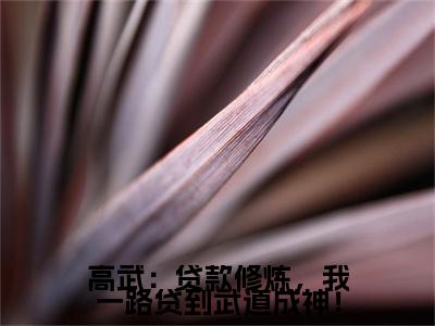 林城小说（高武：贷款修炼，我一路贷到武道成神！）前文+全本完整阅读预售作品抢先看