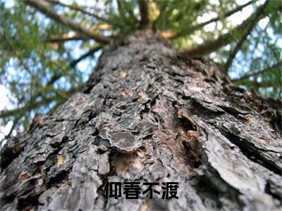 季书臣季清婉仰春不渡完结篇全篇阅读无广告（仰春不渡）番外+续集