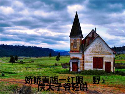 全网首发沈梨初沈聿：+后续+番外（娇娇青梅一红眼，野戾太子爷轻哄）全本完整阅读无弹窗