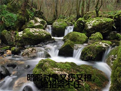 林雾贺景洲番外（暗恋对象又坏又撩，她招架不住）TXT+后续+结局在线阅读