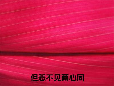 但悲不见两心同（程鹤）前文+全本完整阅读预售作品抢先看