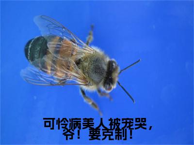 （书荒必看）沈翡聿珩(可怜病美人被宠哭，爷！要克制！)无删减在线下载阅读最终终章