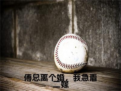 （傅总离个婚，我急着二嫁）厉行舟沈时染傅总离个婚，我急着二嫁后续一口气无广告全书章节表