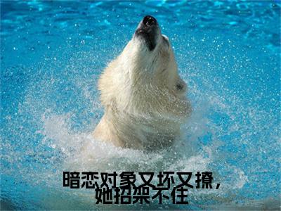 暗恋对象又坏又撩，她招架不住：结局+番外免费品鉴 林雾贺景洲：结局+番外评价五颗星
