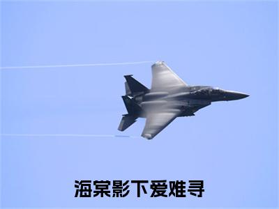 海棠影下爱难寻白若欢宋衍舟终章（白若欢宋衍舟）完整章节列表_笔趣阁