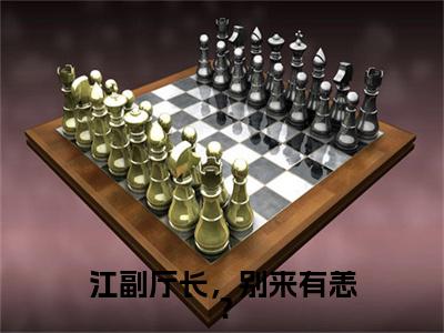 畅读精品正版（印珊徐晴）江副厅长，别来有恙？：+后续全本完整+后续+结局在线阅读