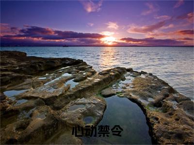 周斐任译续集(周斐任译)终极反转（心动禁令）全篇一口气阅读