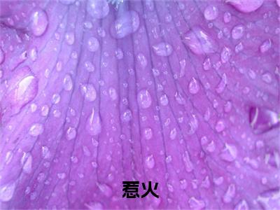 惹火(沈清薄妄)最近更新（惹火）整本无套路阅读