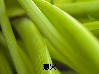 惹火（沈清薄妄）全文免费阅读无弹窗_（沈清薄妄小说全文免费阅读）惹火+后续评价五颗星