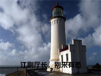 江副厅长，别来有恙？小说章节目录+序章（印珊徐晴）全书畅享在线