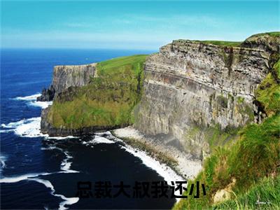（苏小猫）总裁大叔我还小延伸在线下载无广告章节清单