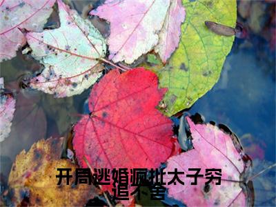 在线阅读（沈依依商战臣）开局逃婚疯批太子穷追不舍：结局+番外看点十足全文+后续