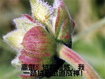 林城小说章节目录+序章（高武：贷款修炼，我一路贷到武道成神！）全书畅享在线