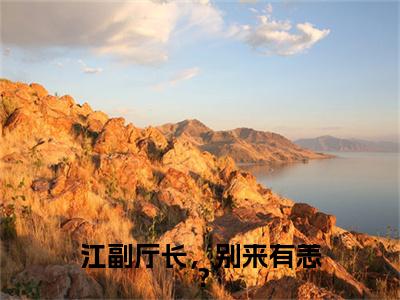 印珊徐晴小说(江副厅长，别来有恙？)全文+后续（印珊徐晴）无套路阅读