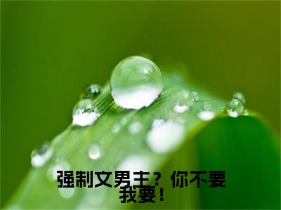 温苒小说无删减+后续（强制文男主？你不要我要！）畅享阅读