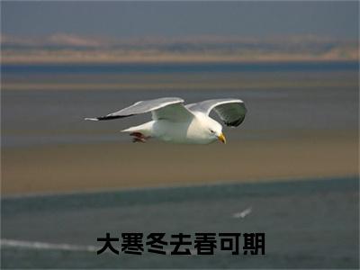 曲晚乔裴书屹大寒冬去春可期彩蛋完整在线阅读（大寒冬去春可期）最近章节列表