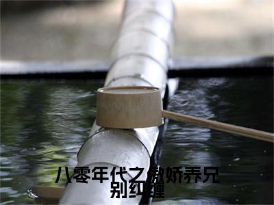 终章小说林岚舒秦容砚小说(林岚舒秦容砚)已更新+番外篇章（八零年代之傲娇养兄别纠缠）无广告