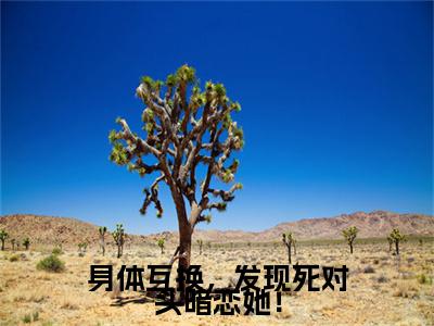 虞晚棠傅时遇续集（身体互换，发现死对头暗恋她！）章节在线阅读最近章节