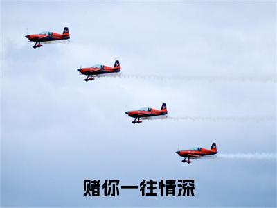 热文推荐赌你一往情深沈斯聿简欢：结局+番外精编之作
