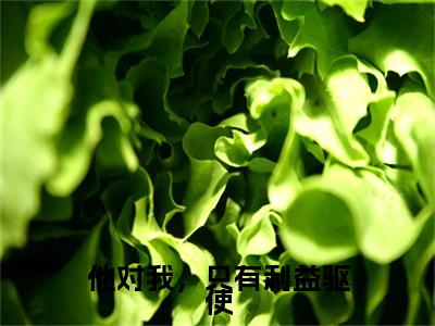 沈卿欢谢临渊他对我，只有利益驱使番外（他对我，只有利益驱使）TXT+后续+结局在线阅读