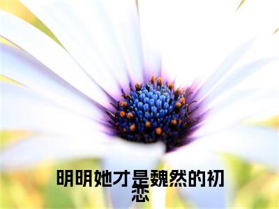明明她才是魏然的初恋后续（邵兰溪魏然）全文在线下载在线+纯净版结局
