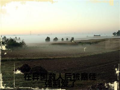 在异国救人后被暴徒强制爱了纳伦林松雪小说完本+番外（纳伦林松雪）畅享阅读
