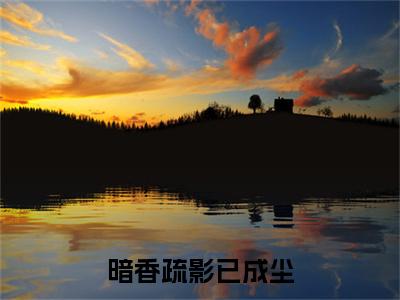 宋窈宁陆靳言番外+结局（暗香疏影已成尘）小说在线阅读