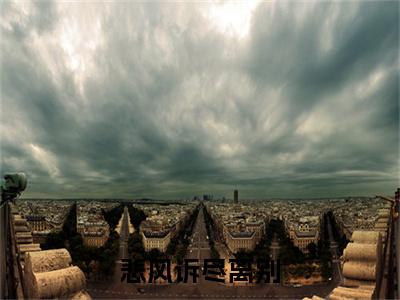 傅沉舟黎枝小说(悲风诉尽离别)（傅沉舟黎枝）全书+后续+结局在线阅读