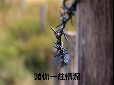沈斯聿简欢：结局+番外免费品鉴 赌你一往情深：结局+番外评价五颗星