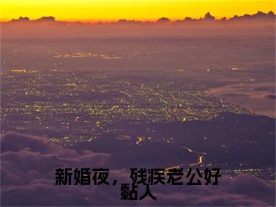 新章速递傅北尧孟晚晚是什么小说(新婚夜，残疾老公好黏人)完本阅读无广告（新婚夜，残疾老公好黏人）