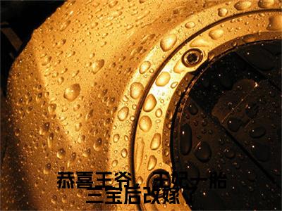季云素裴无蘅小说全篇完整在线阅读（恭喜王爷，王妃一胎三宝后改嫁了）热门章节列表