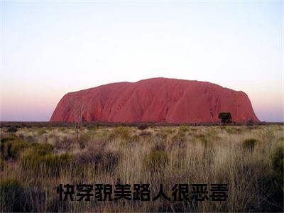 全网首发江绾绾小说叫什么(快穿貌美路人很恶毒)（江绾绾）全书阅读纯净阅读