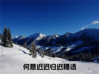 何意迟迟归迟穗语：结局+番外精品选集（裴司尧迟穗语）番外+续集