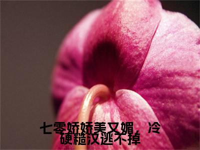 七零娇娇美又媚，冷硬糙汉逃不掉小说完整在线阅读（纪淮宋安宁）前传列表