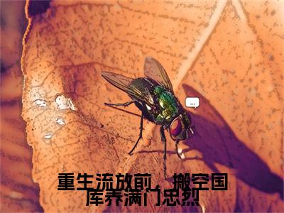 终章小说重生流放前，搬空国库养满门忠烈戚元月宋九安小说(重生流放前，搬空国库养满门忠烈)已更新+番外篇章（戚元月宋九安）无广告