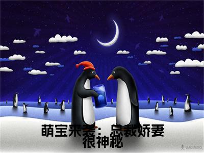 萌宝来袭：总裁娇妻很神秘唐晚小说章节目录+章节前文（唐晚）TXT清爽版在线