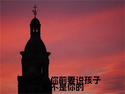 热门章节_战寒爵林雨蔓：结局+番外精编之作 战少，你前妻说孩子都不是你的：结局+番外评价五颗星