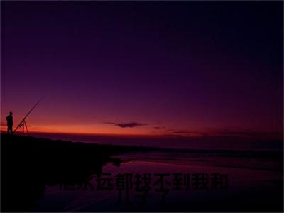 林瑾希陆裴晟小说完本+番外（他永远都找不到我和儿子了）畅享阅读