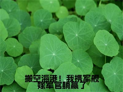 无弹窗全文（温婉历战）搬空海港！我携军舰嫁军官躺赢了全文畅享阅读