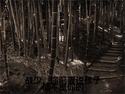 战寒爵林雨蔓小说(战少，你前妻说孩子都不是你的)小说全集在线下载_章节前文+后续（战寒爵林雨蔓）