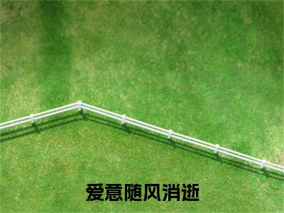 独家乔清浅宋轻舟无删减(爱意随风消逝)（乔清浅宋轻舟）TXT免费版阅读