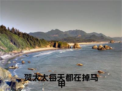 贺太太每天都在掉马甲小说(贺尧年陆深深)小说结尾+隐藏篇章（贺太太每天都在掉马甲）畅享阅读